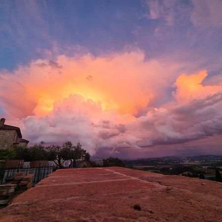 Vesionica Holiday House Perugia Civitella Benazzone 외부 사진